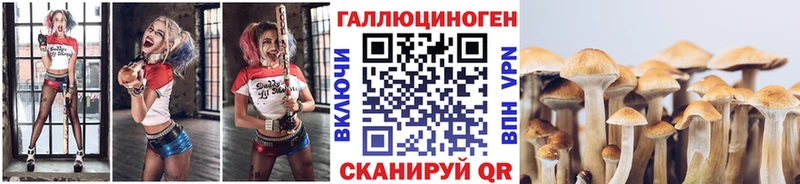 Галлюциногенные грибы GOLDEN TEACHER  Дорогобуж 