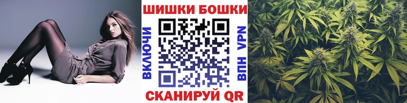 Бошки Шишки план  купить наркотики сайты  дарк нет наркотические препараты  Дорогобуж 